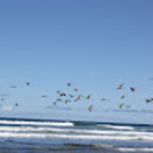 Meet your Posher, Marco